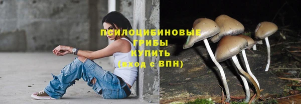spice Волосово
