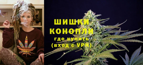 spice Волосово