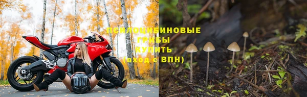 гашик Володарск