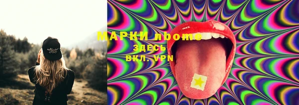 гашик Володарск